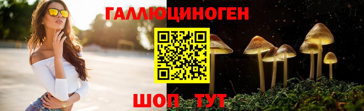 Галлюциногенные грибы GOLDEN TEACHER  Псилоцибиновые грибы GOLDEN TEACHER  Тверь  Вход с VPN 
